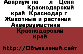 Авариум на 450 л › Цена ­ 20 000 - Краснодарский край, Краснодар г. Животные и растения » Аквариумистика   . Краснодарский край